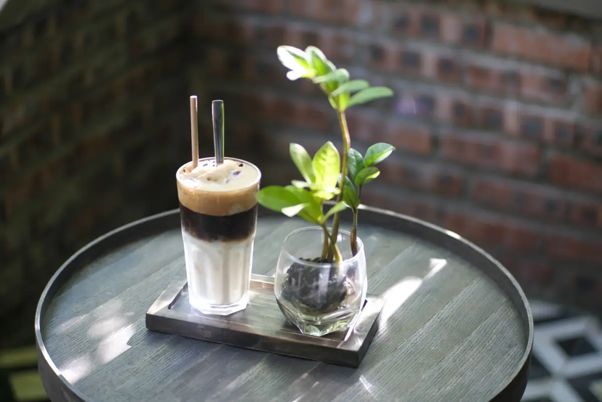 Perfect cup of Vietnamese coffee